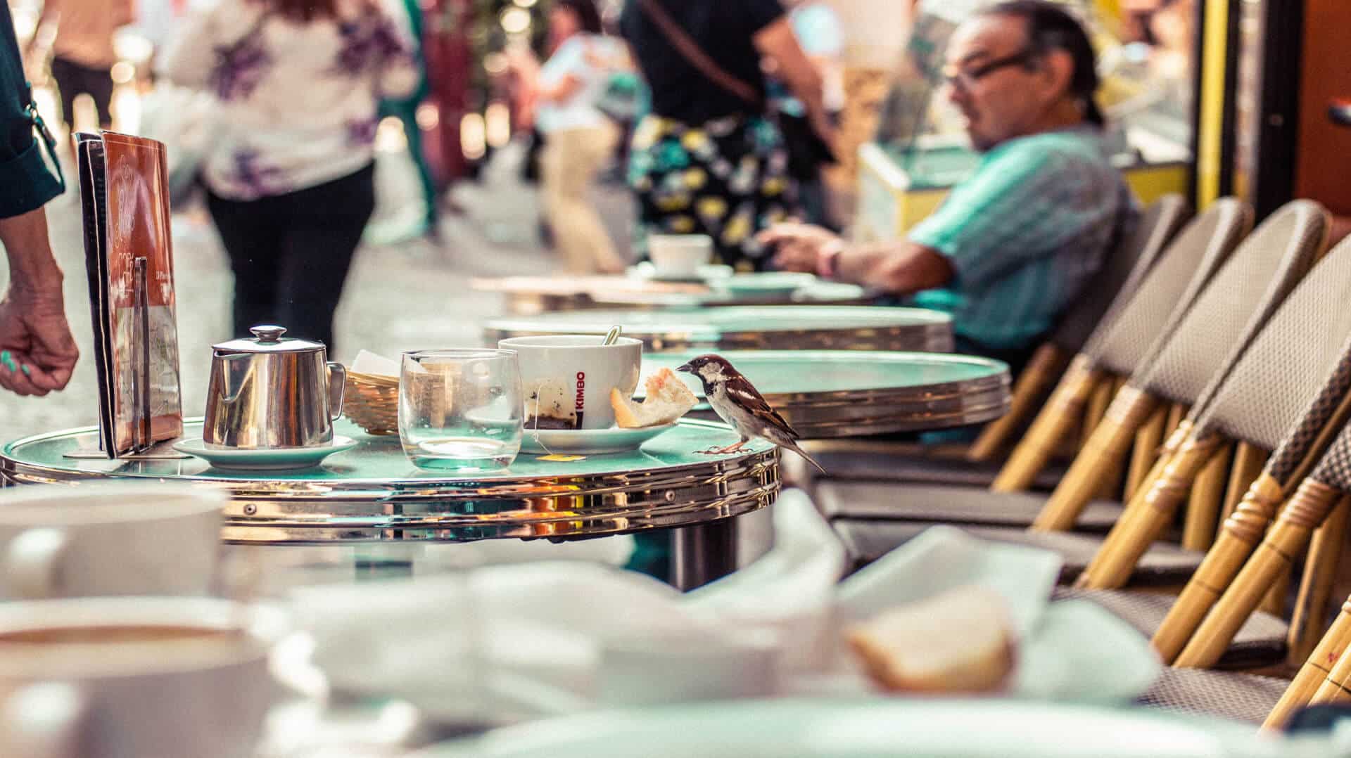 Terrasse café ile saint louis paris